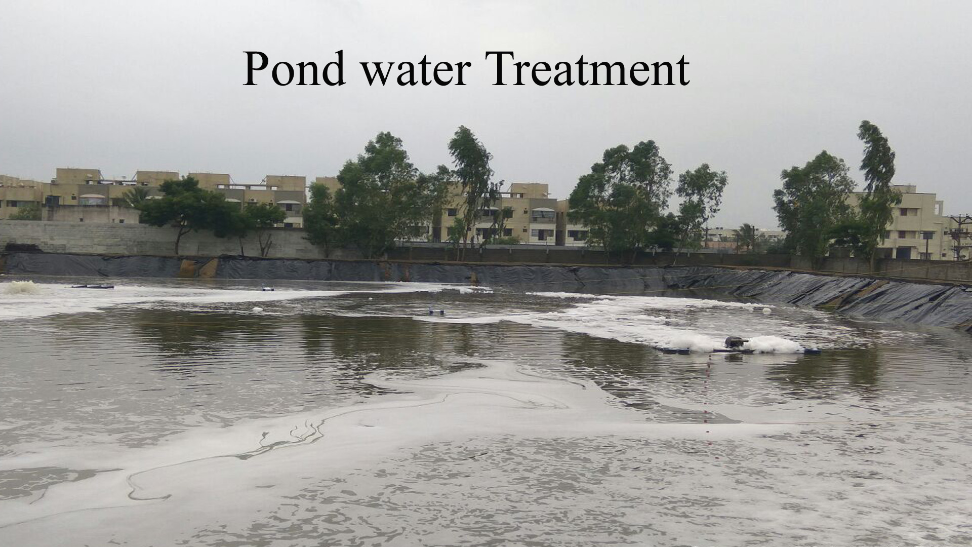 pond water treatment