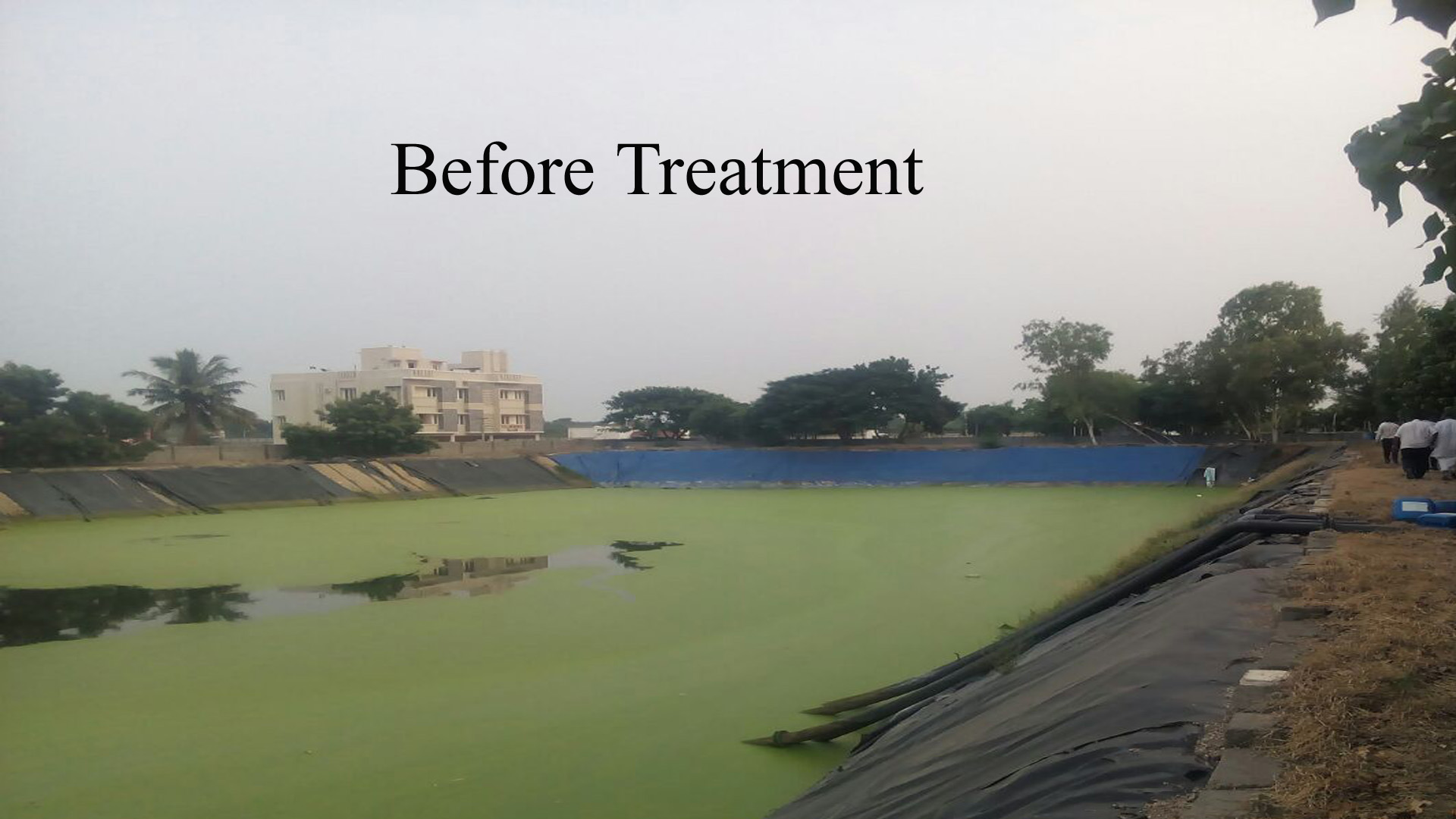 pond treatment